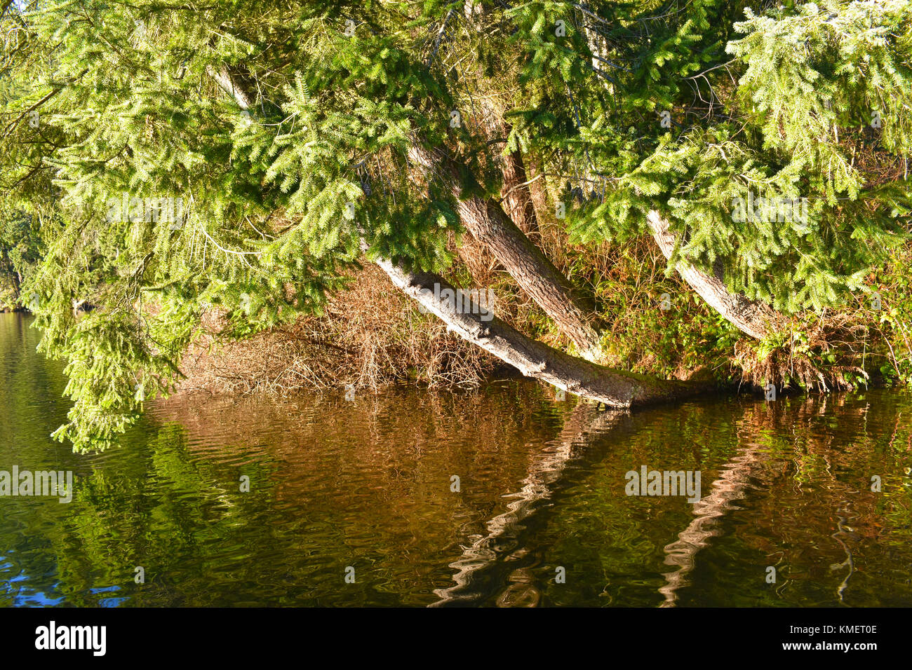 Samish lake hires stock photography and images Alamy