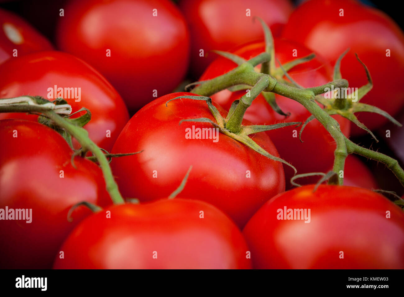 Vine ripe tomatoes Stock Photo Alamy