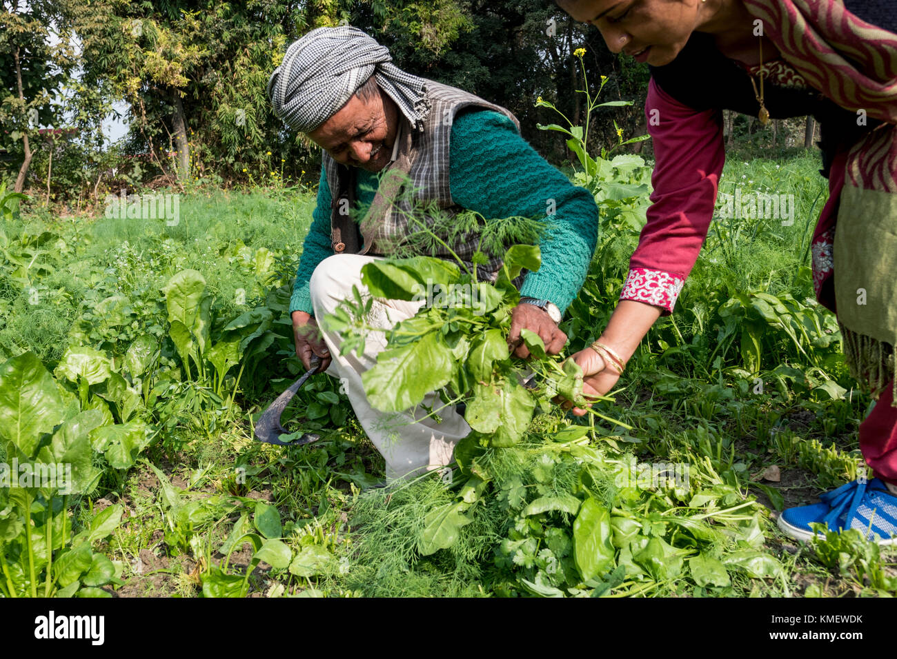 Organic Farming Methods organic-farming-methods