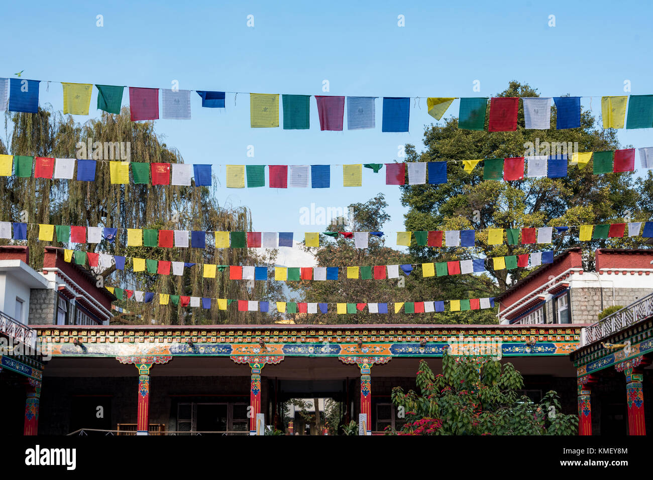 Multiple Buddhist prayer flags flying high  at Norbulingka Institute near Dharamshala, India. Stock Photo
