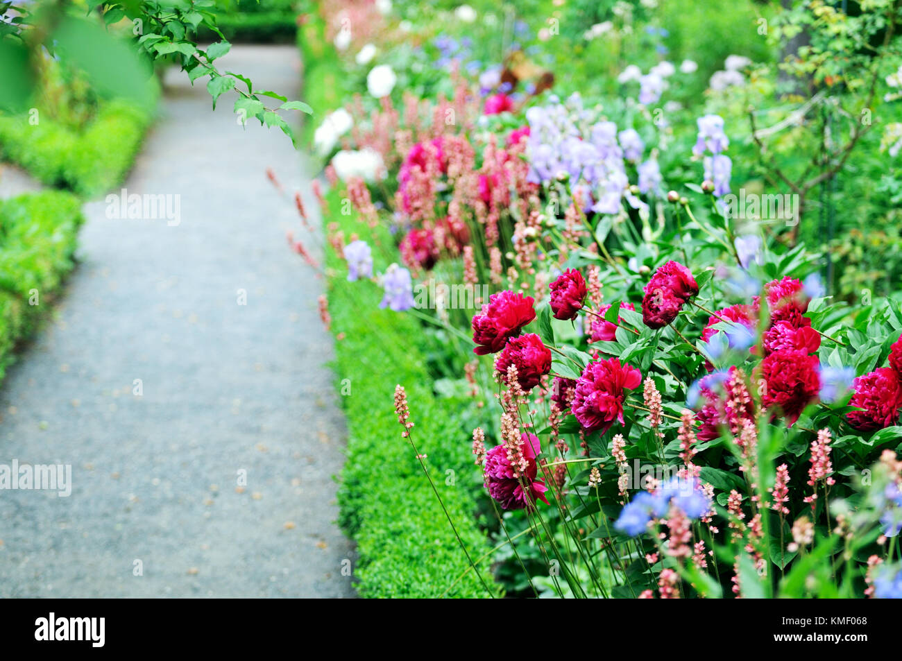 Garden border and crushed stone path Stock Photo