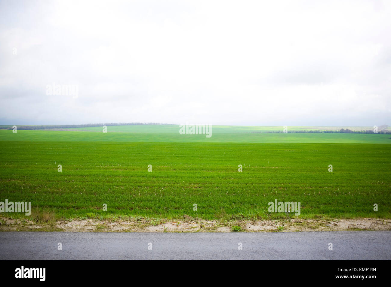 Field of green grass and the sky with clouds Stock Photo - Alamy