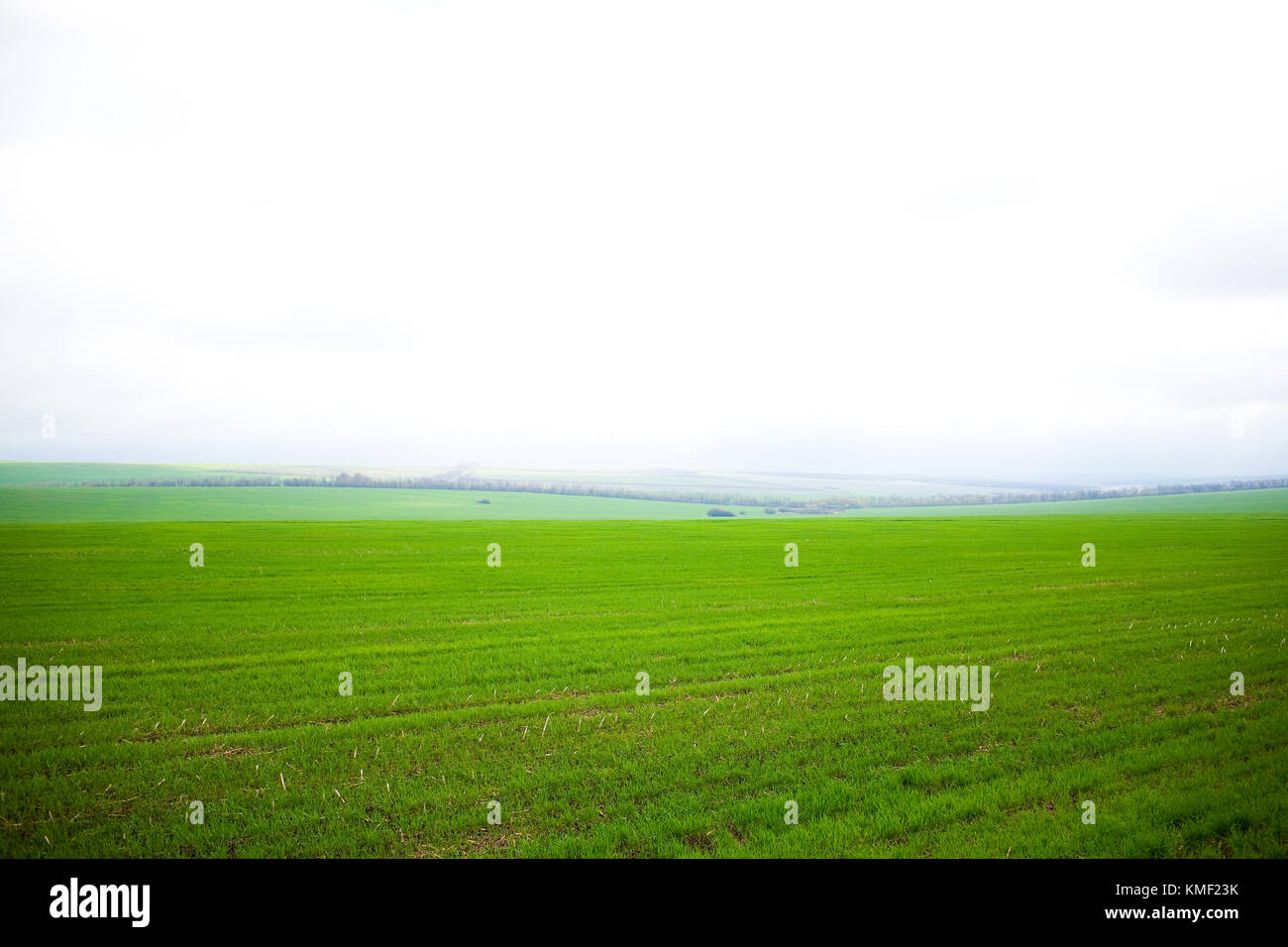 Field of green grass and the sky with clouds Stock Photo - Alamy