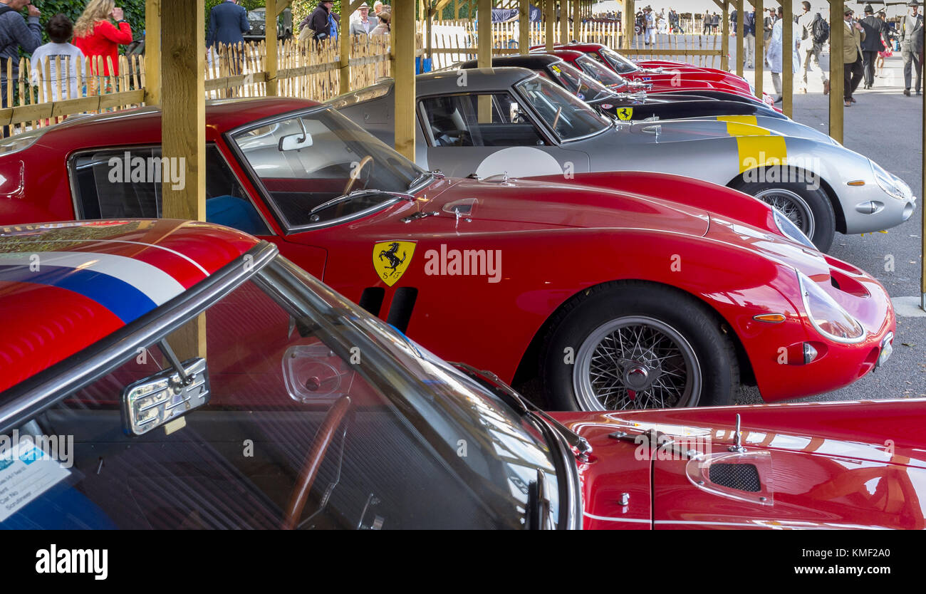 Ferrari 250 GTO all in a row, most expensive collection of cars ever, at Goodwood Revival 2012 Stock Photo