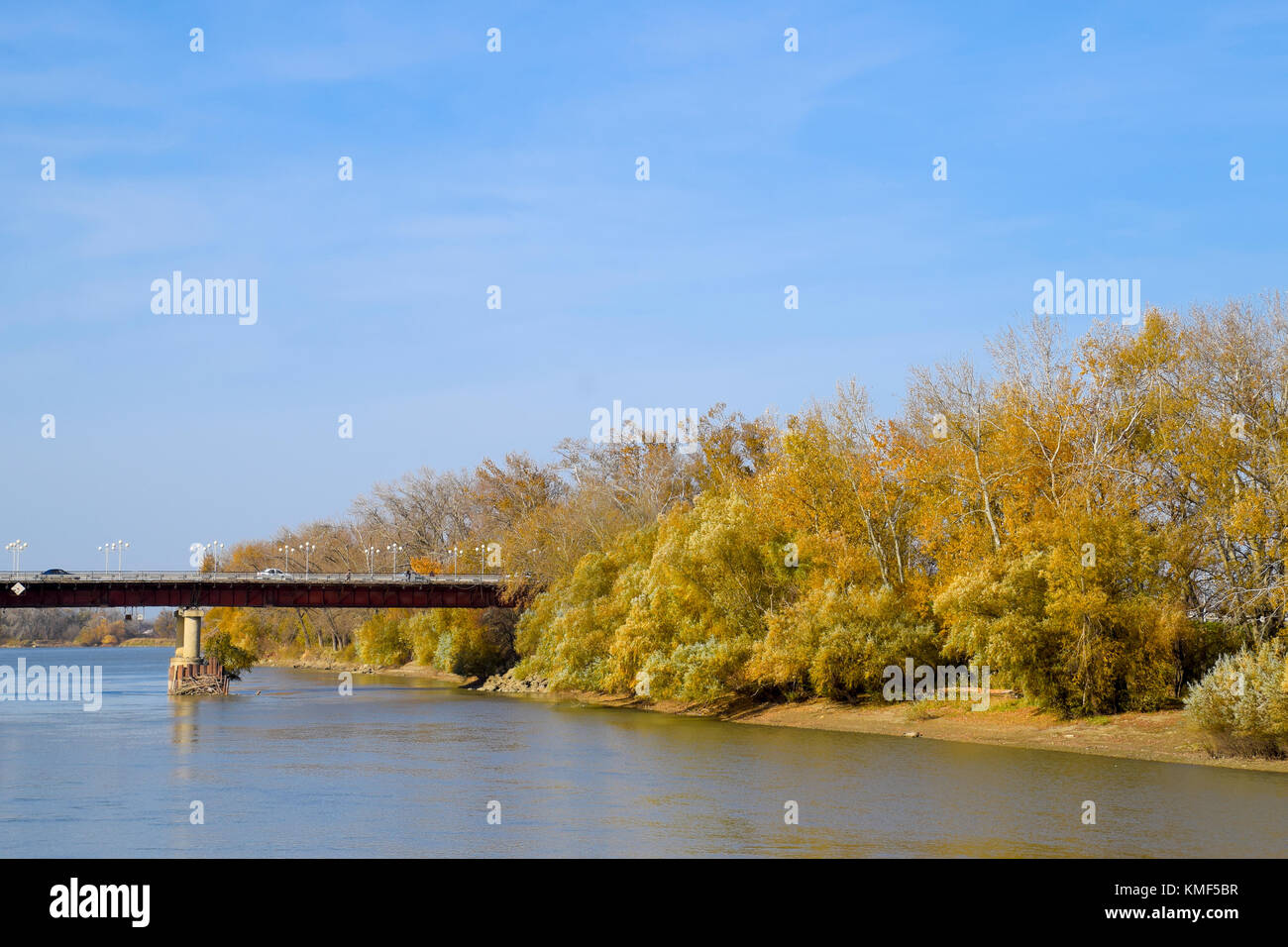 Autumn landscape. River bank with autumn trees. Poplars on the b Stock ...