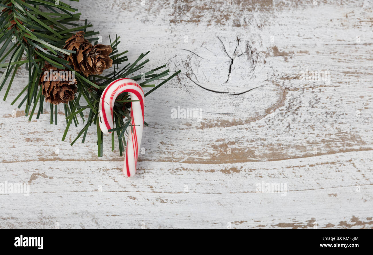 Christmas single candy cane ornament hanging in rough fir tree branch on rustic white wooden background Stock Photo