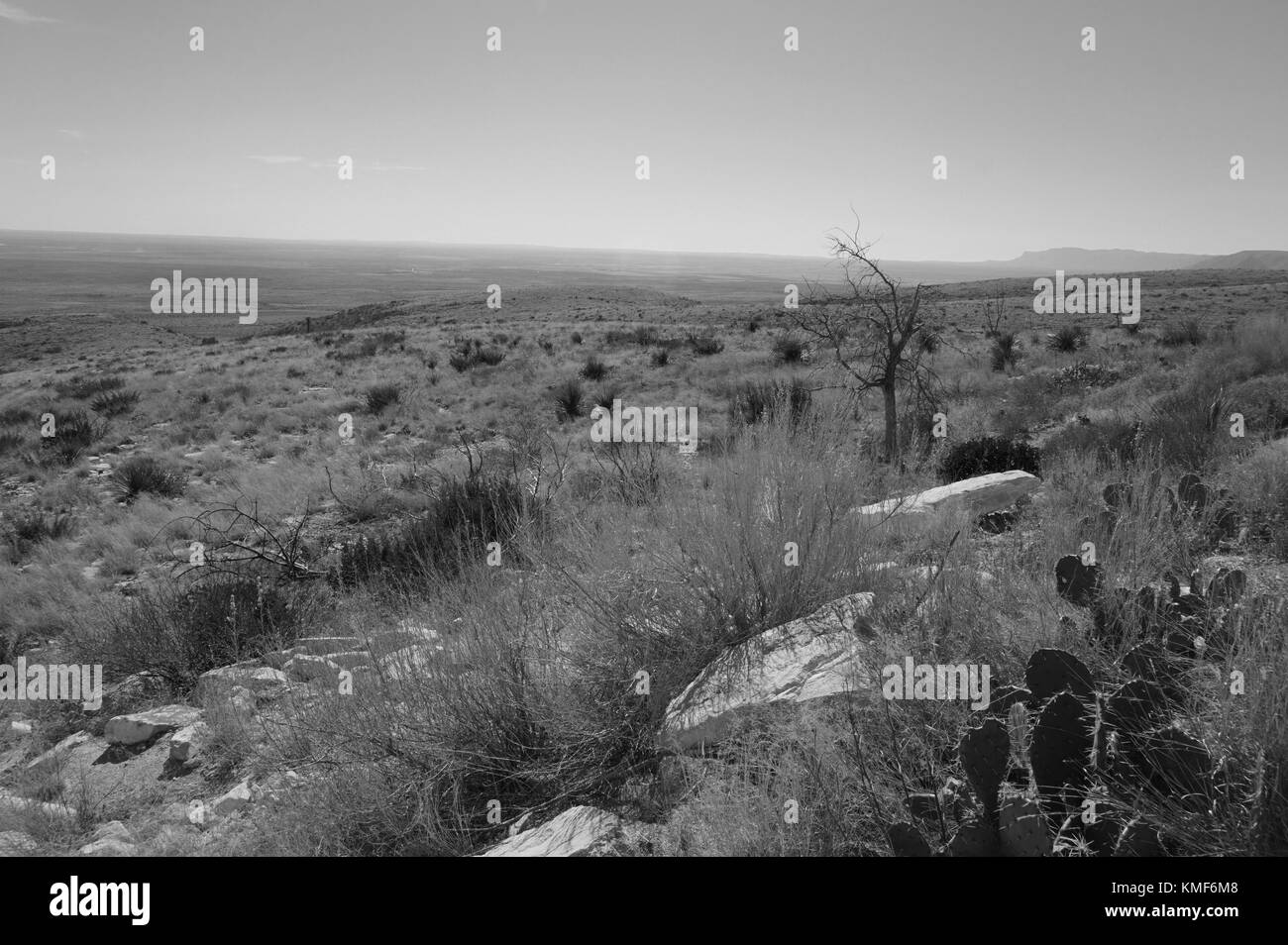 Mescalero hires stock photography and images Alamy