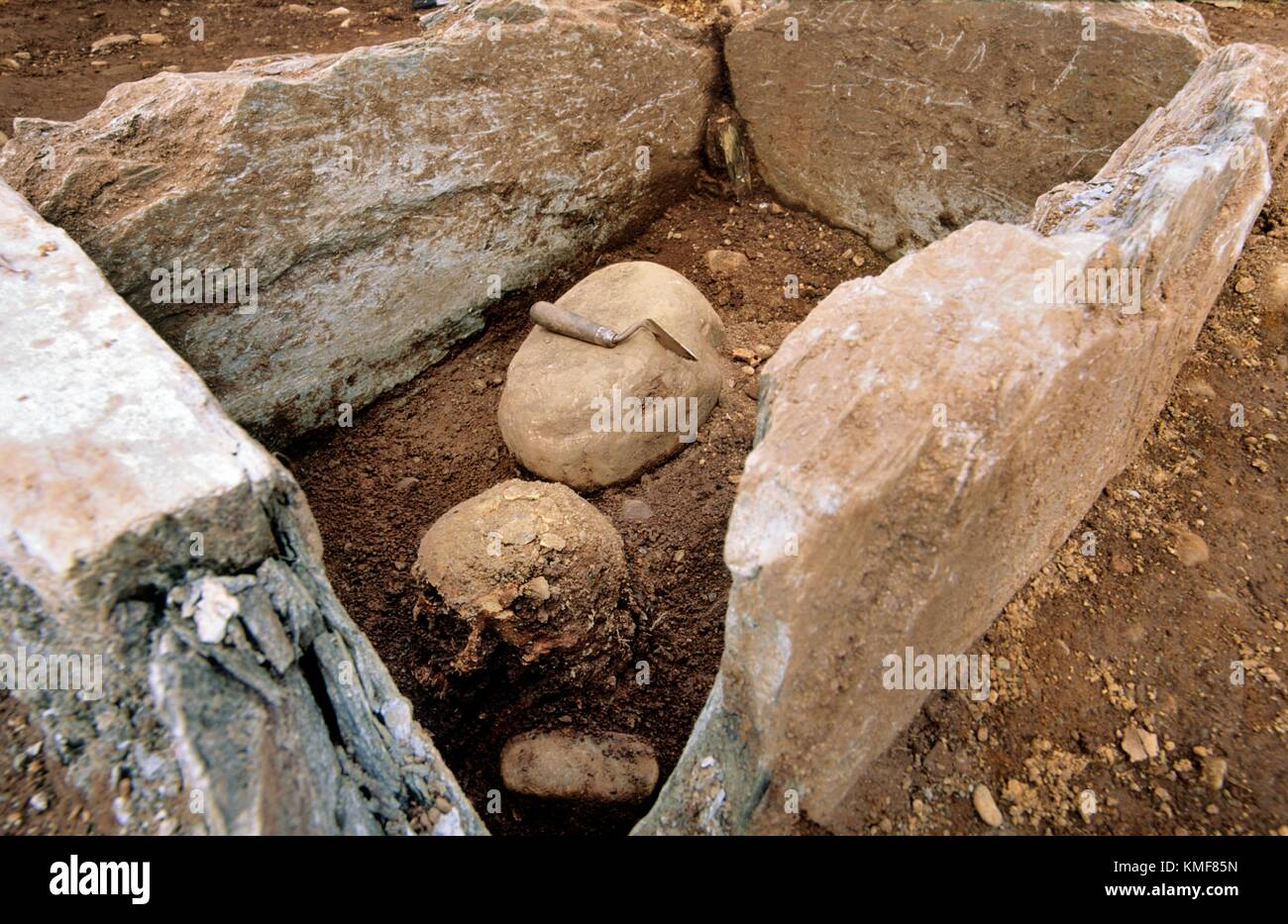 Prehistoric burial Cist III during excavation revealing skull in situ. Upper Largie fluvioglacial gravel terrace, Kilmartin Valley, Argyll, Scotland Stock Photo