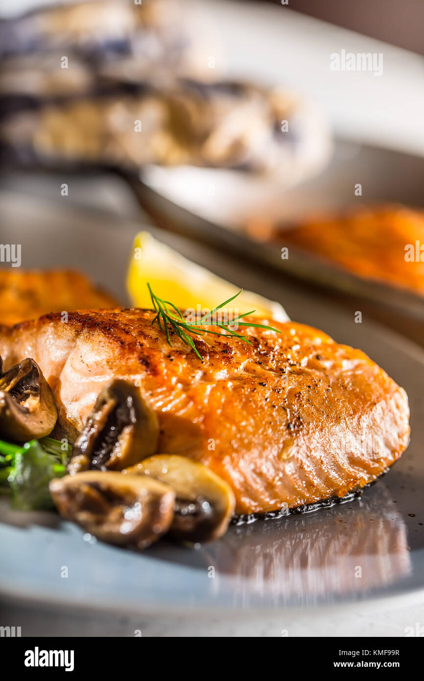 Salmon Roast Fillet. Portion of roast salmon fillet with spinach