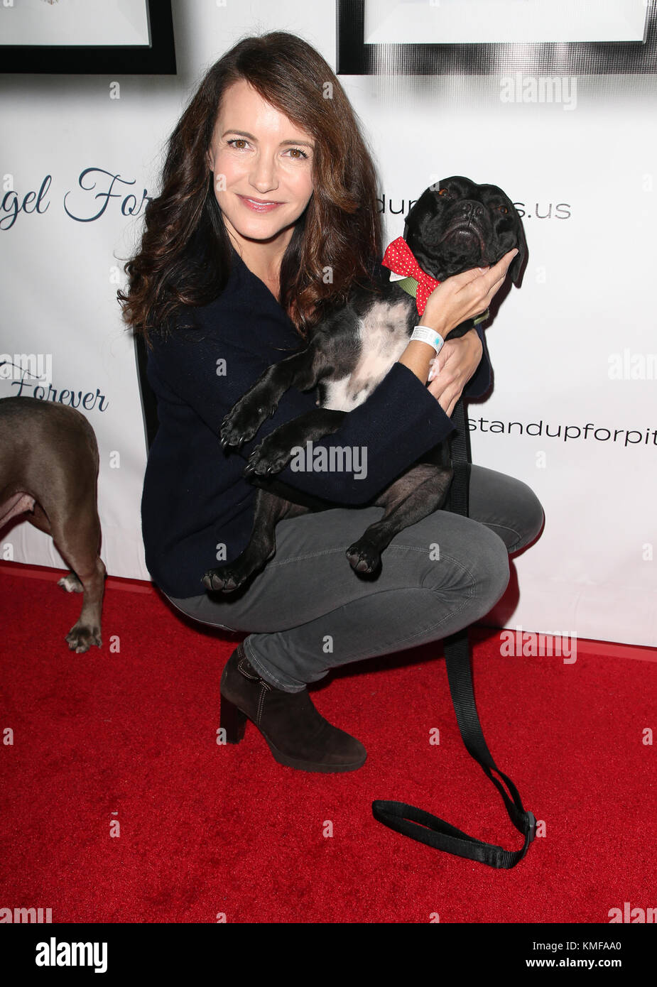 7th Annual Stand Up For Pits Featuring: Kristin Davis Where: Hollywood