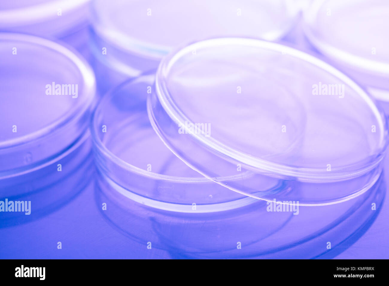 Petri dishes close up Stock Photo Alamy