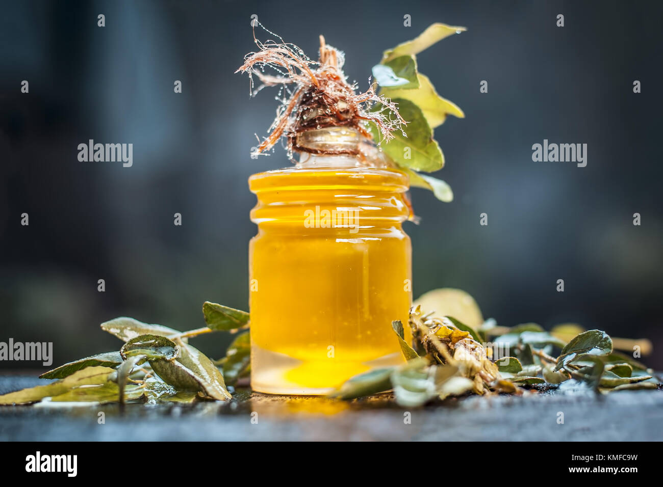 Murraya koenigii,Curry leaves with extracted oil in a transparent bottle.Concept of taking care of hair and skin. Stock Photo