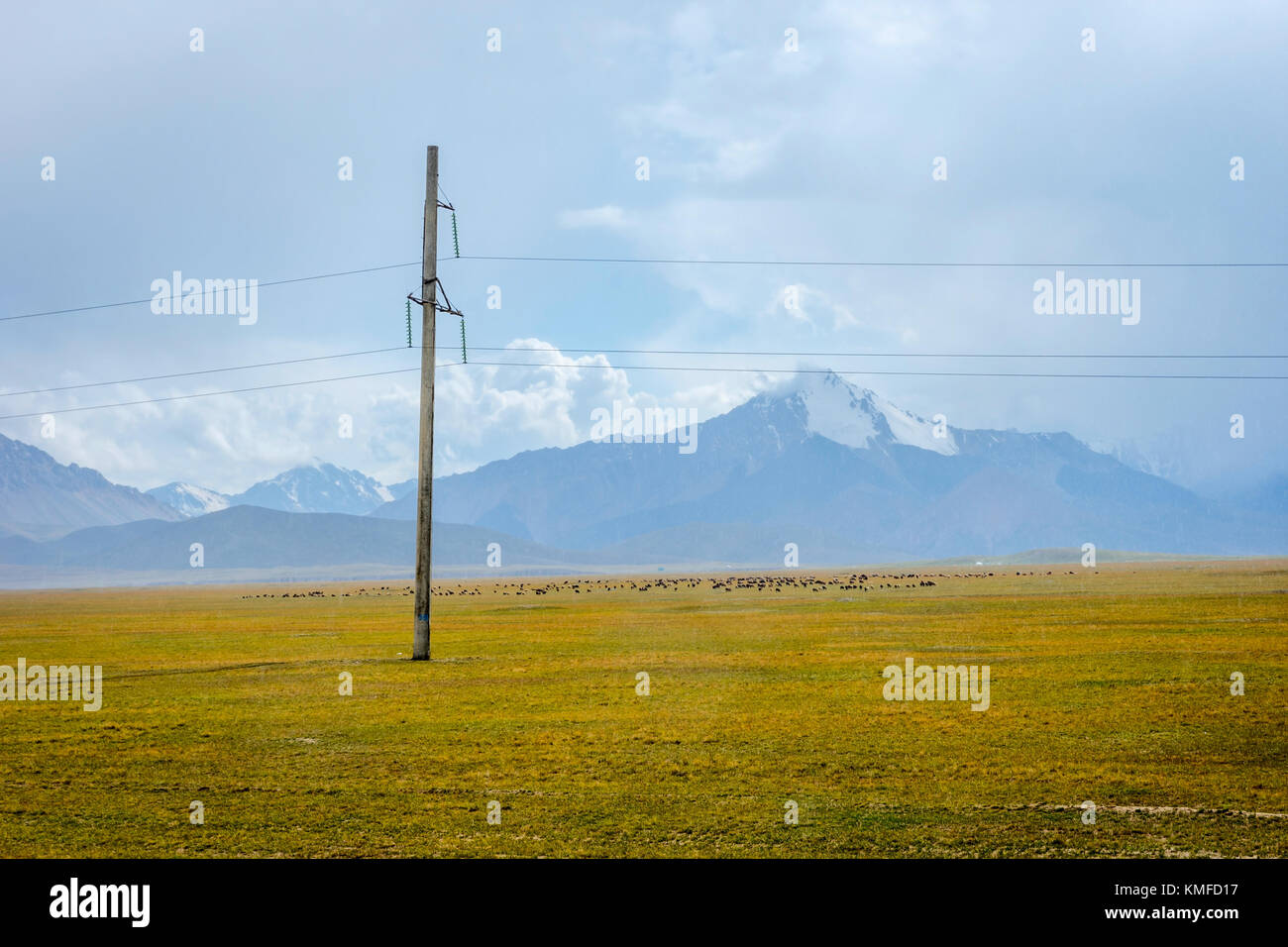 Green yellow valley, Torugart pass, Kyrgyzstan Stock Photo