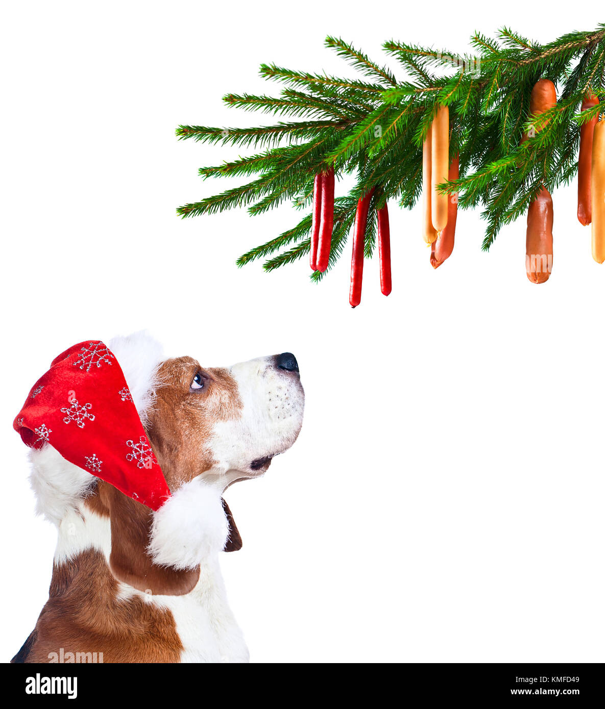 Sausage Dog Hanging Christmas Decoration Stock Photos Sausage