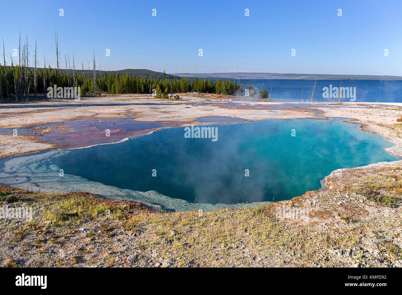 West Thumb Geyser Basin in Yellowstone National Park, USA Stock Photo