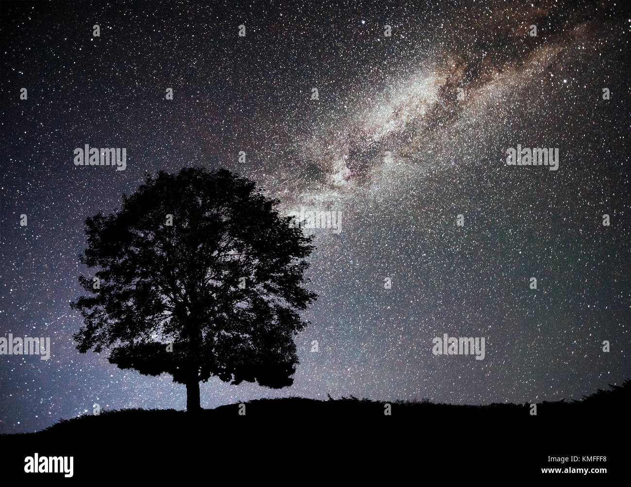 Landscape with night starry sky and silhouette of tree on the hill ...