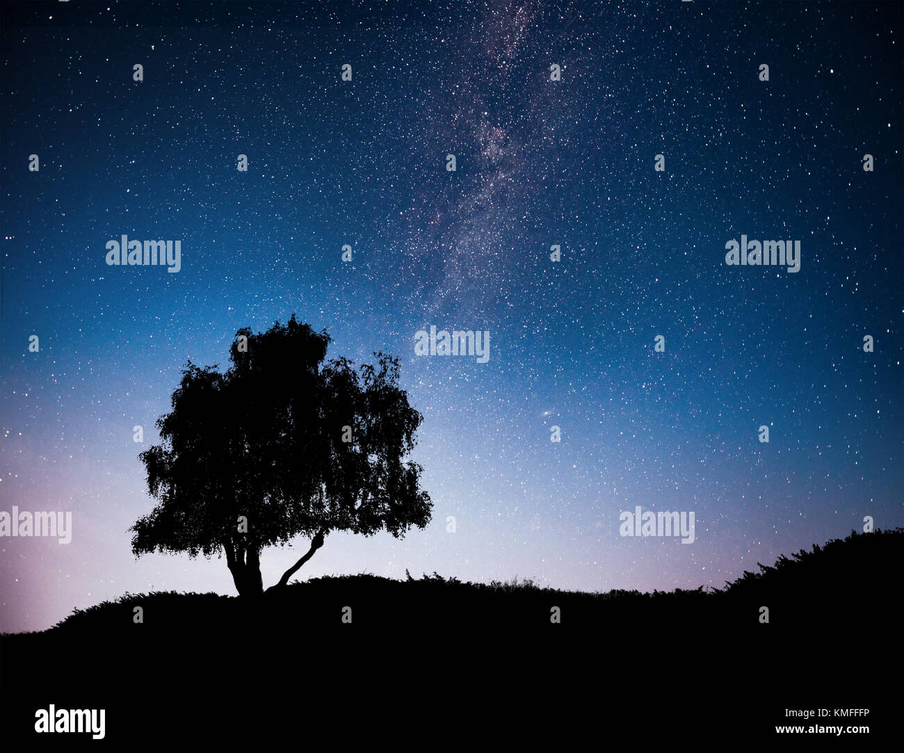 Landscape with night starry sky and silhouette of tree on the hill ...