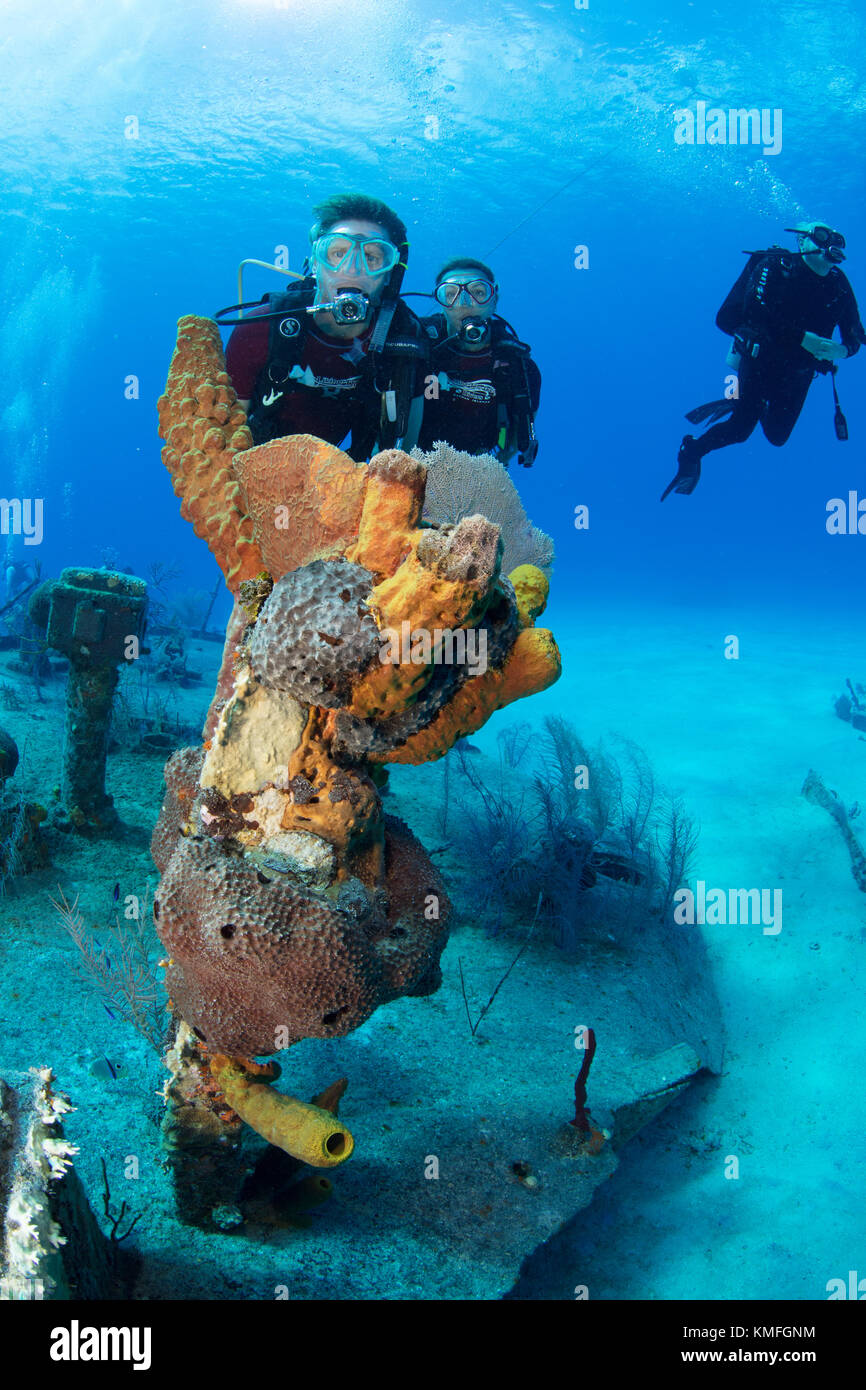 Divers on the wreckage of the Oro Verde, Grand Cayman Stock Photo