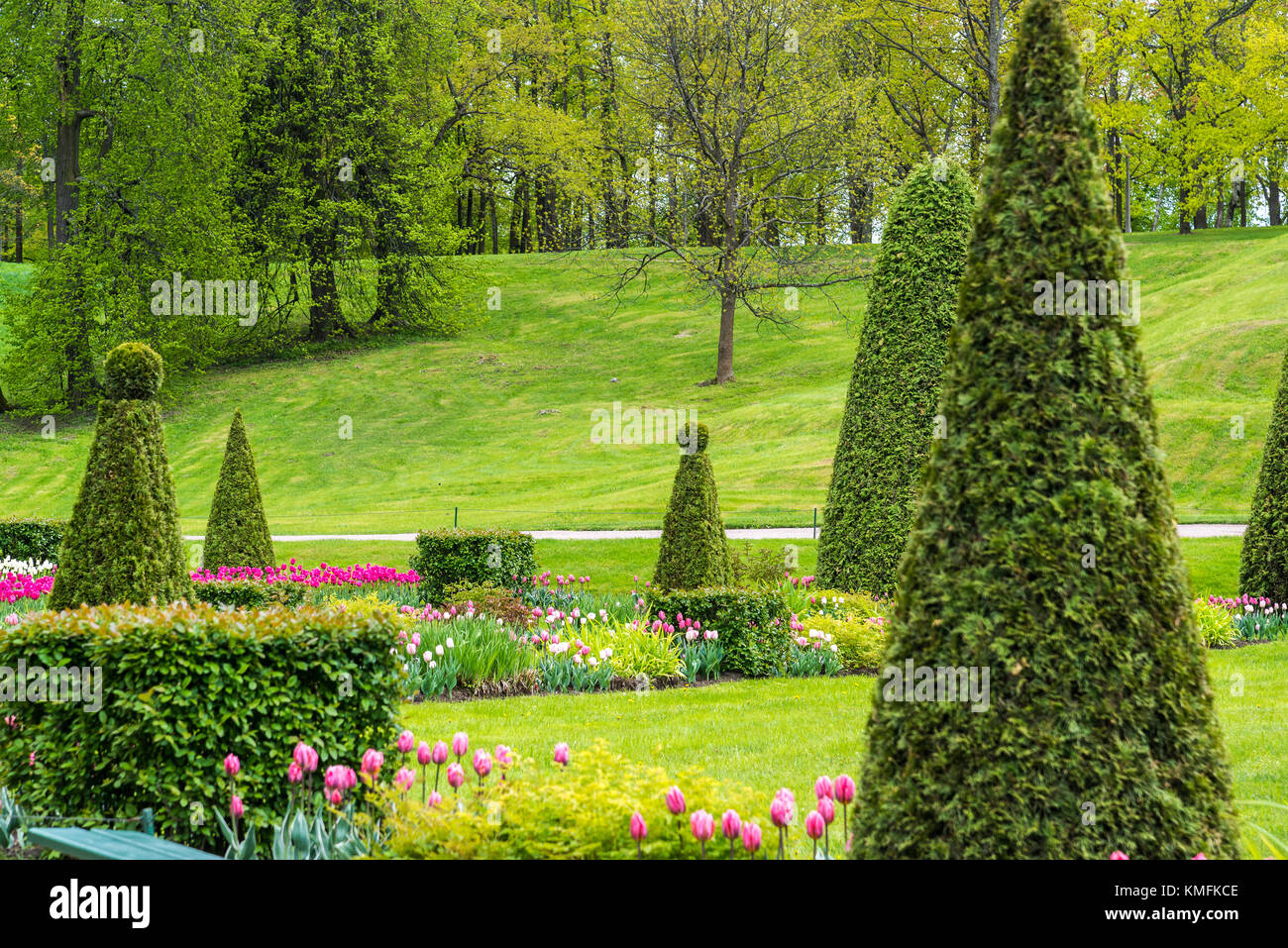 St. Petersburg, Russia - June 3 2017. Flower parterre in front of large cascade fountain Stock Photo