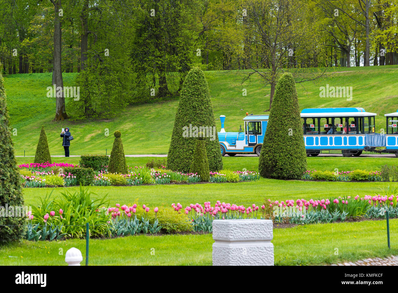 St. Petersburg, Russia - June 3 2017. Flower parterre in front of large cascade fountain Stock Photo