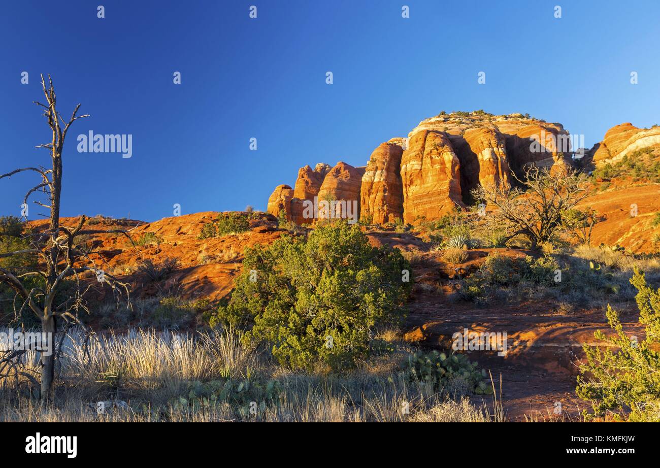 Cathedral Rock Sandstone Cliffs Scenic Landscape View with Green Valley and Blue Skyline in Red Rock State Park Sedona Arizona United Statesr Stock Photo