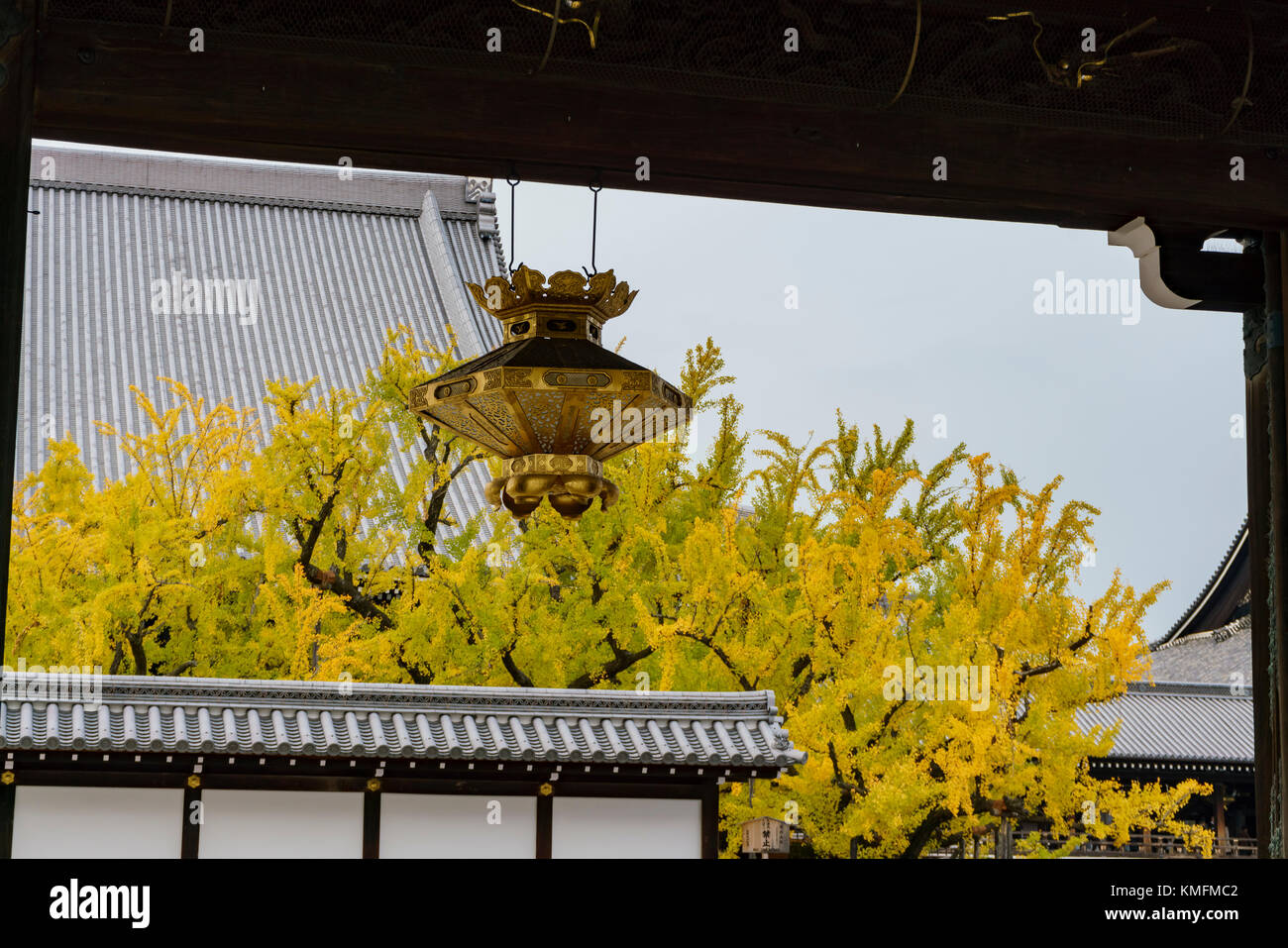 Beautiful Antique lamp and  ginkgo tree turning into yellow on Autumn, at Nishi Hongan-ji, Kyoto, Japan Stock Photo