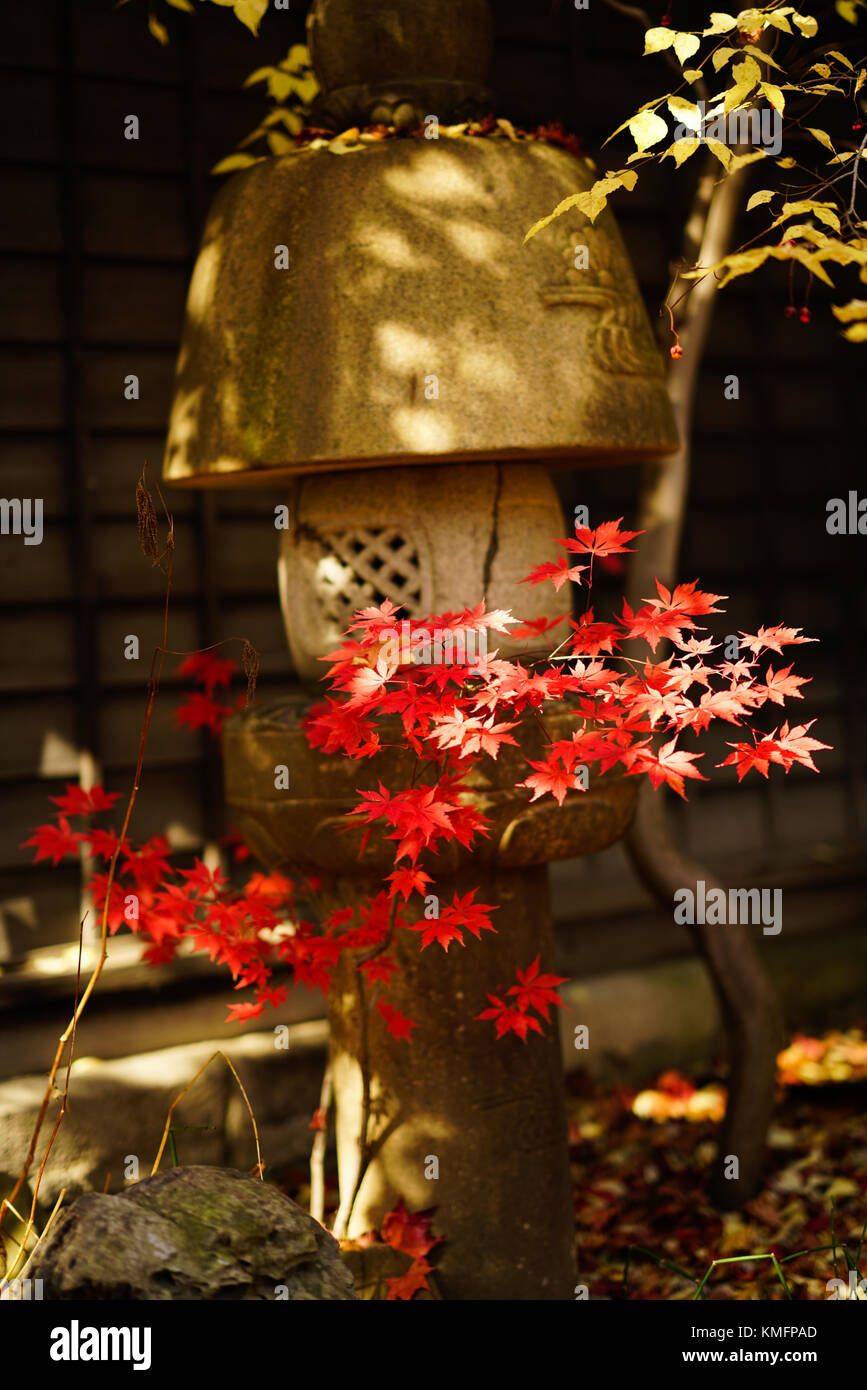 Japanese Fall Foliage Stock Photo - Alamy
