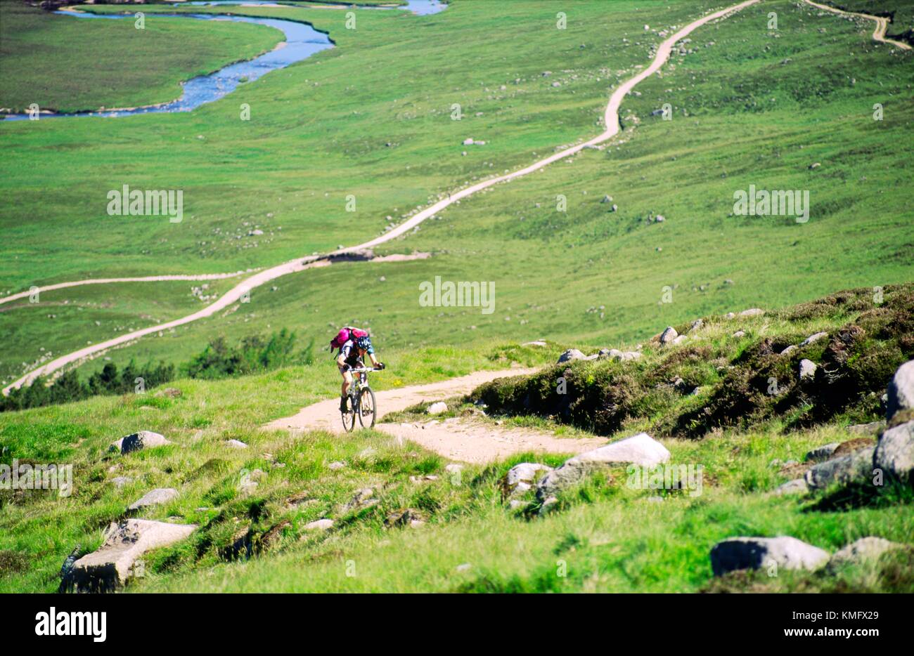Greens estate mtb new arrivals