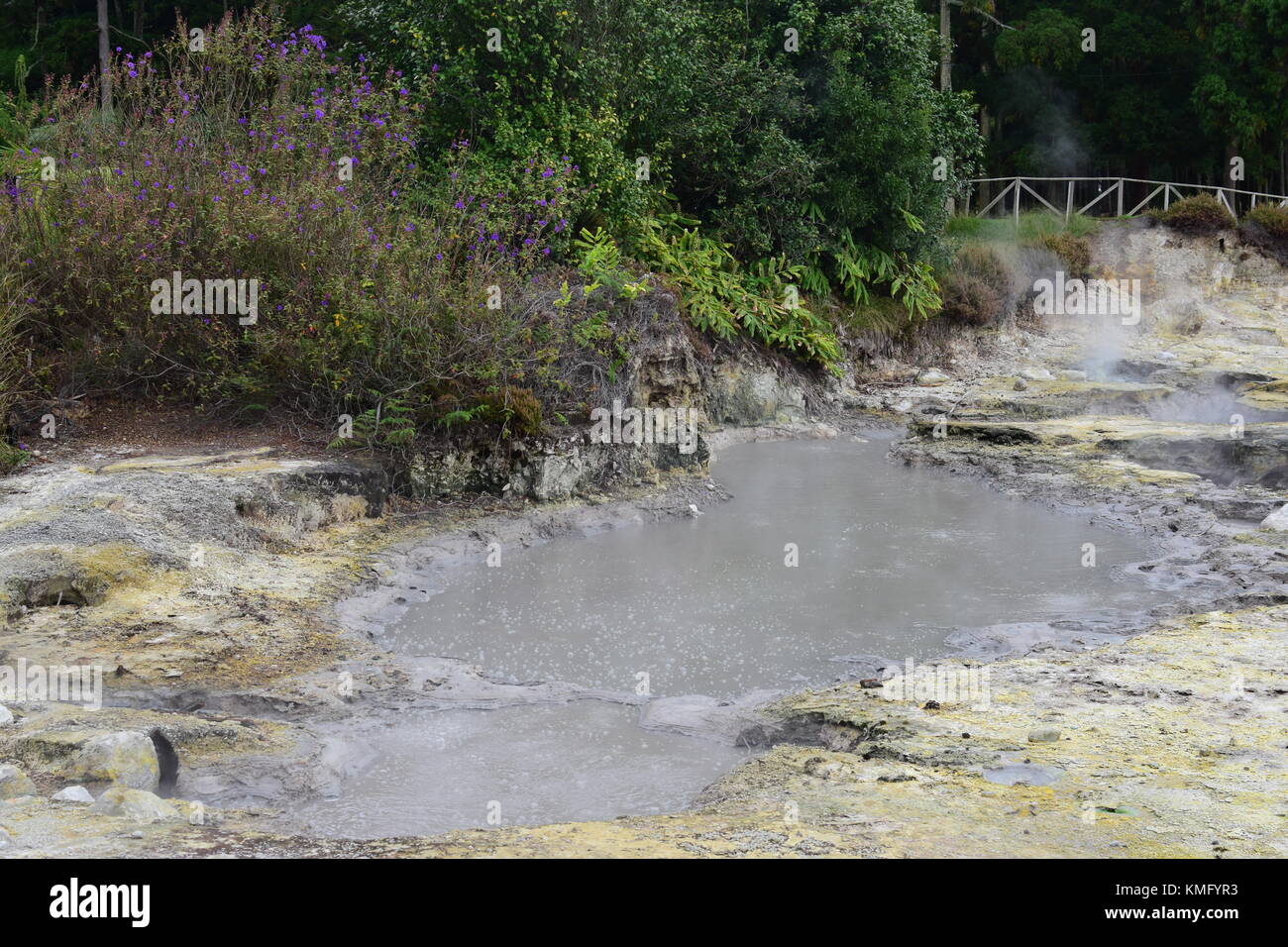 Fumarolas da Lagoa das Furnas, Sao Miguel, Azores, Acores. Geysers