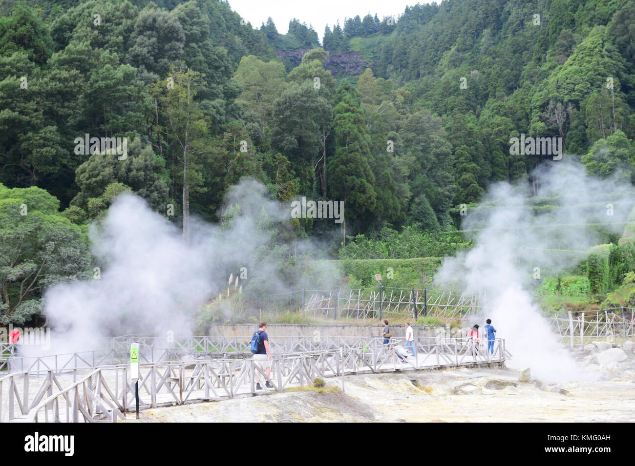Fumarolas da Lagoa das Furnas, Sao Miguel, Azores, Acores. Geysers