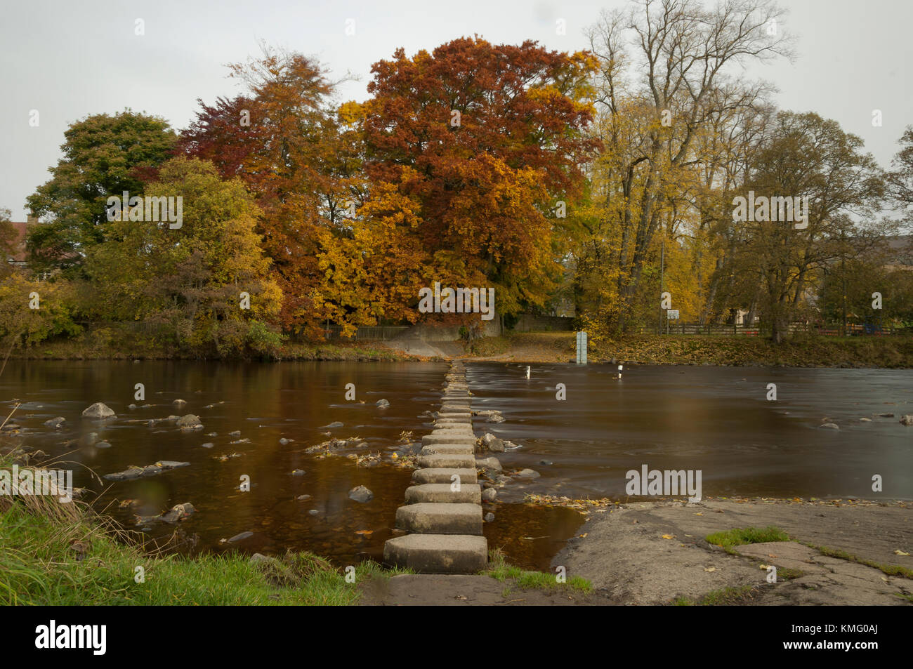 Stepping stones on the river wear in Stanhope, Weardale in County Durham, North East England. Stock Photo