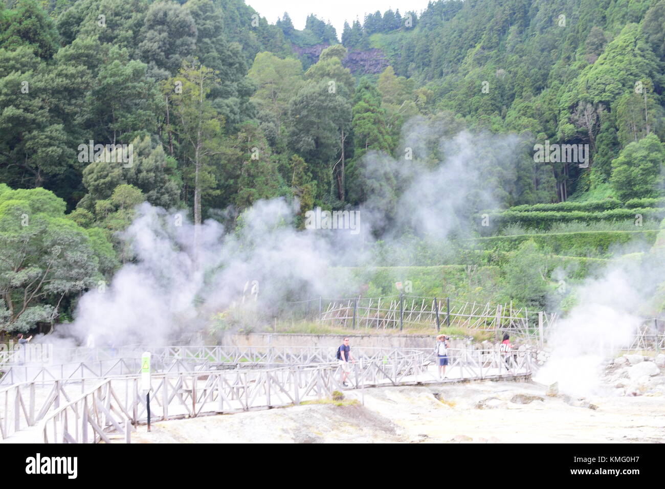 Fumarolas da Lagoa das Furnas, Sao Miguel, Azores, Acores. Geysers