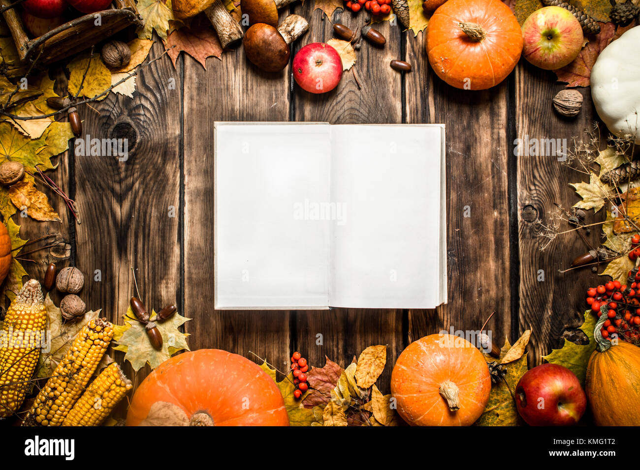 Autumn food. Old book with autumn fruits and vegetables. On wooden background. Stock Photo