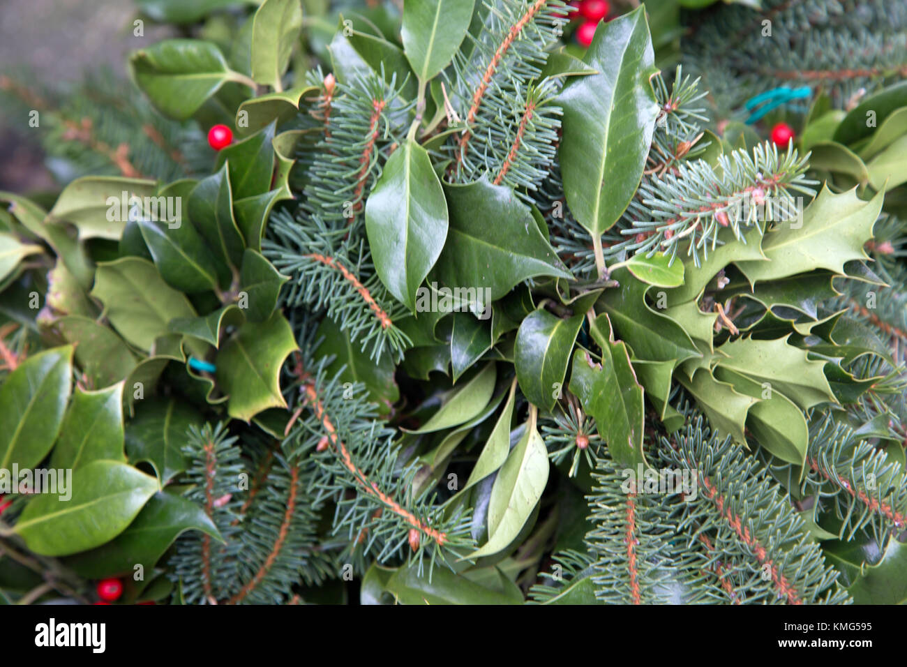 Christmas Decoration with Holly Background Stock Photo - Alamy