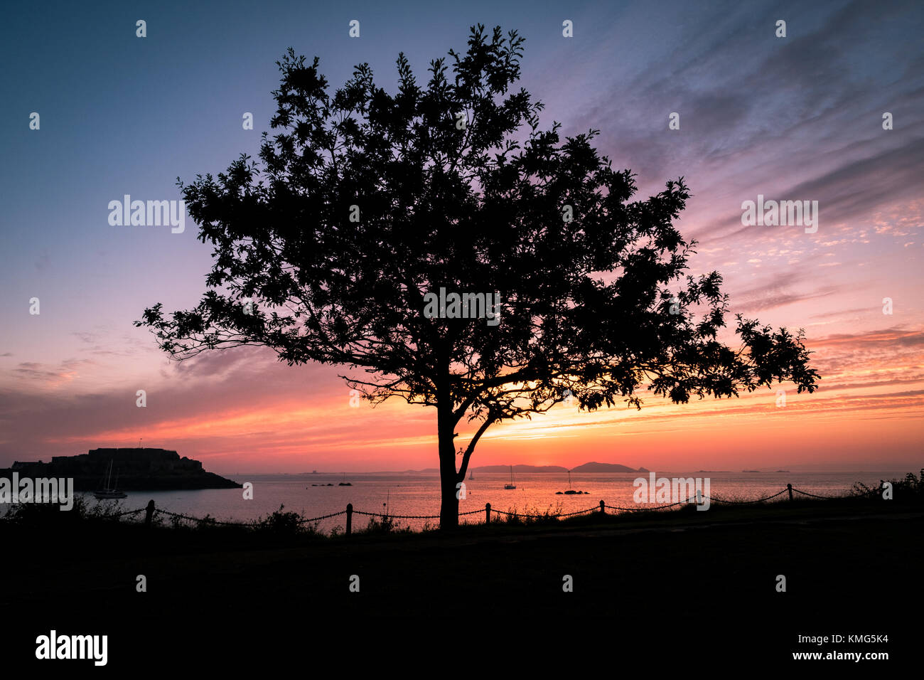 lone tree silhouetted against a glorious sunrise Stock Photo - Alamy