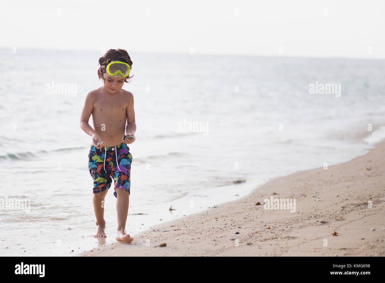 Boy carrying seashell at shore Stock Photo Alamy