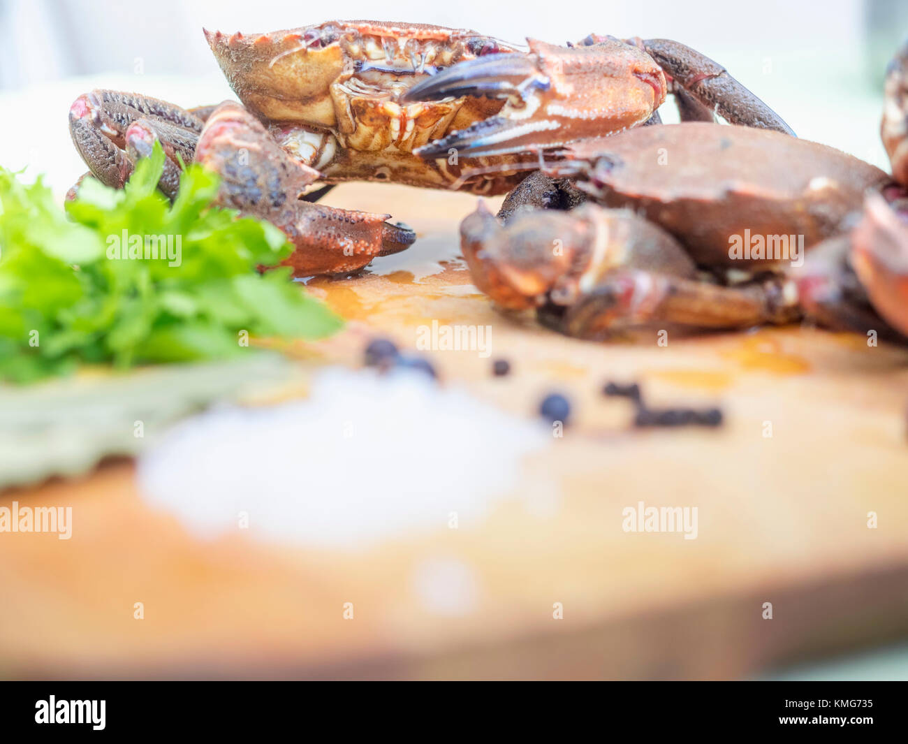 Velvet crab hires stock photography and images Alamy