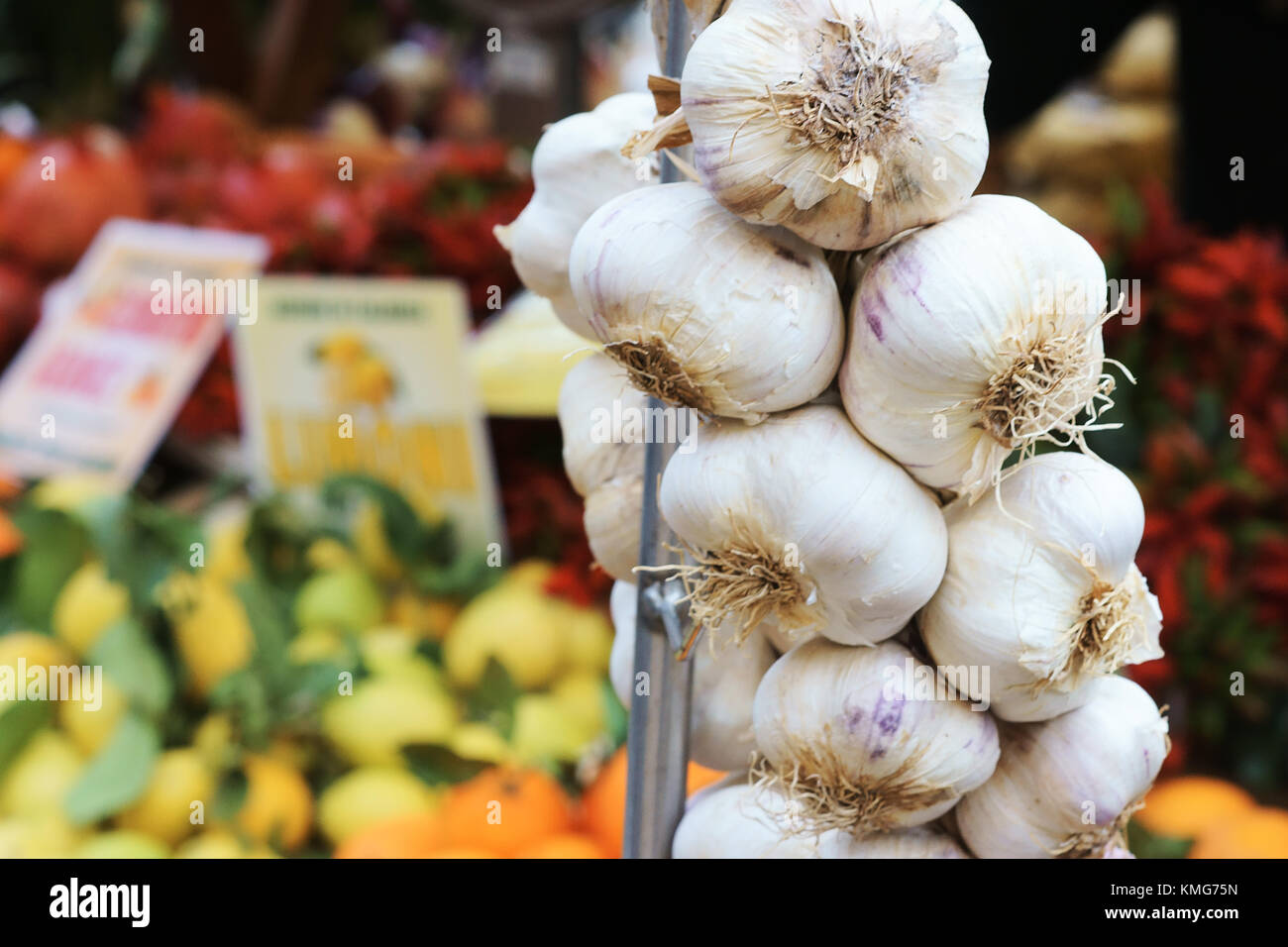 Braid of garlic, Tuscany, Italy Stock Photo Alamy