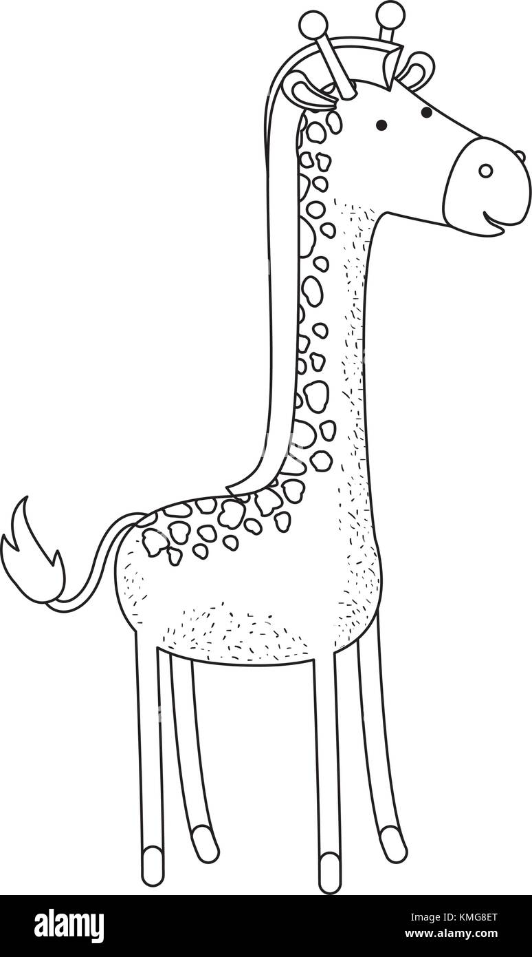giraffe cartoon in monochrome silhouette on white background Stock Vector
