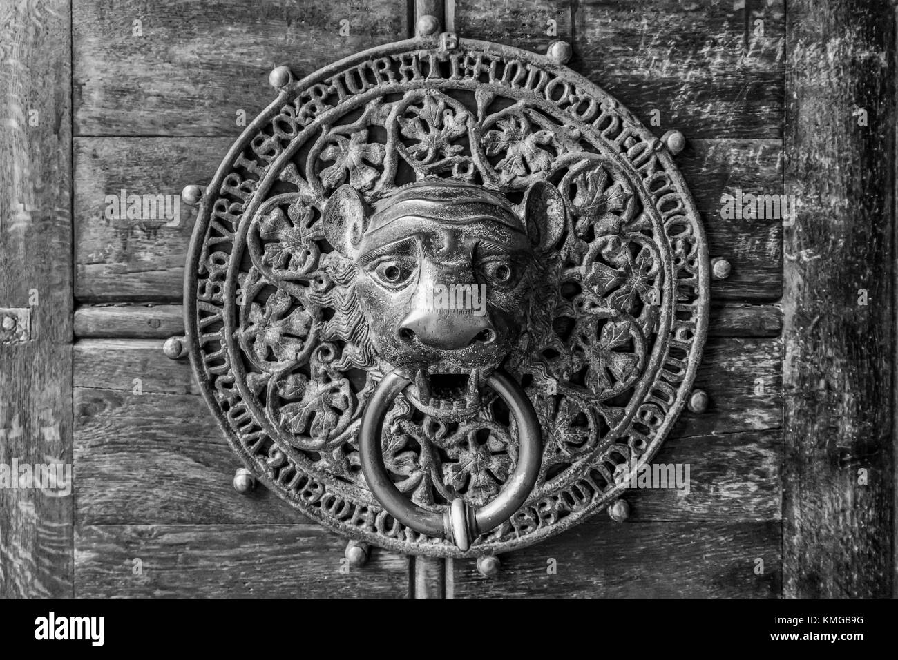A vintage gothic door knocker made of brass in Hamburg, Germany. Stock Photo