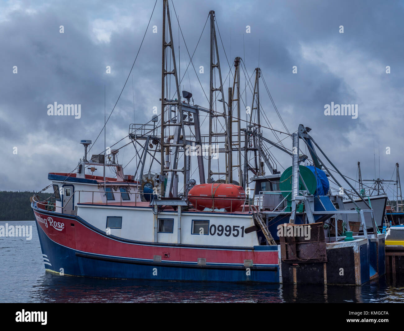 Fishing boats, Port Saunders Marine Service Centre, Port Saunders ...