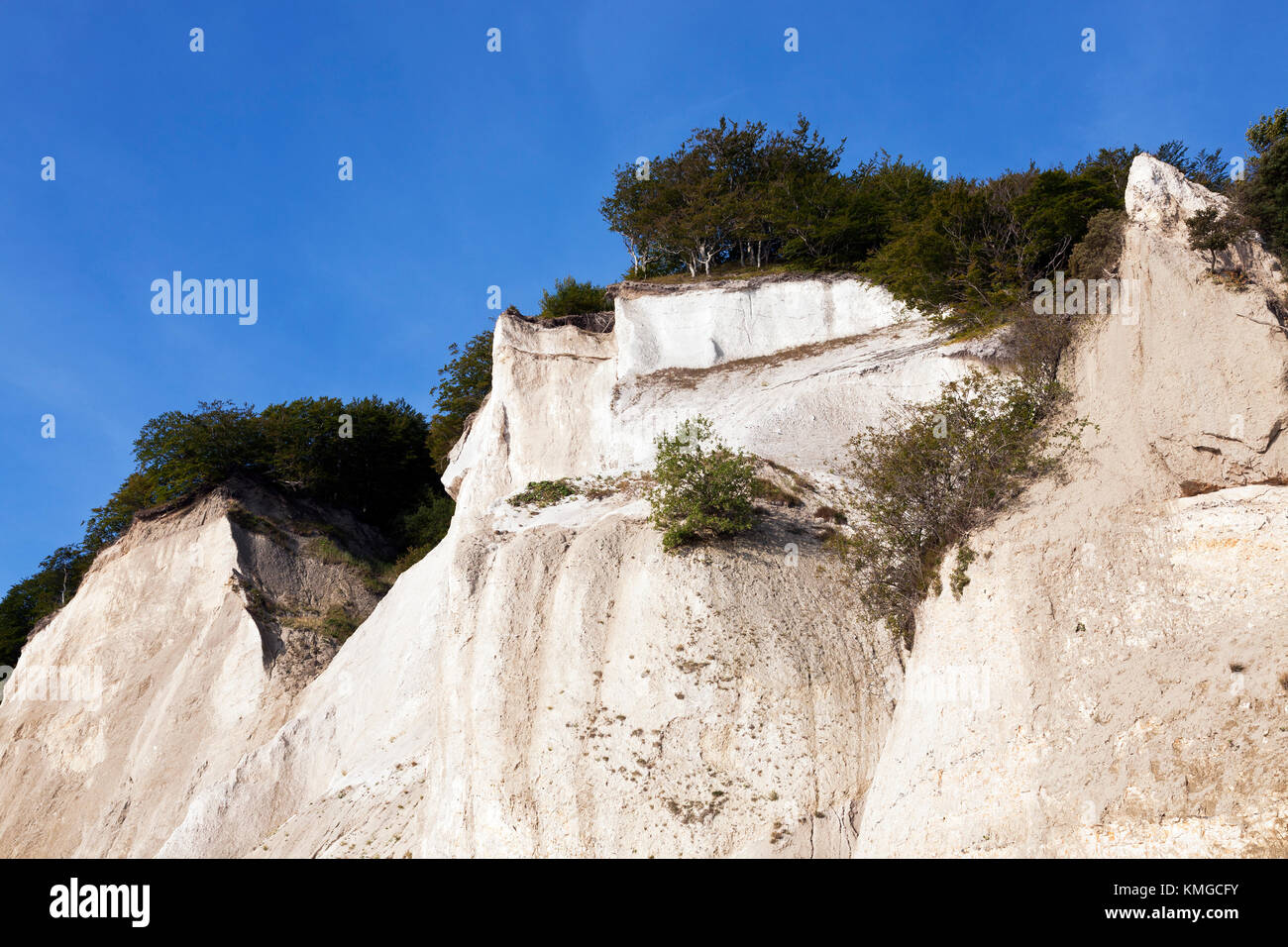Møns Klint, the steep chalk cliffs up to 120m above sea on the eastern