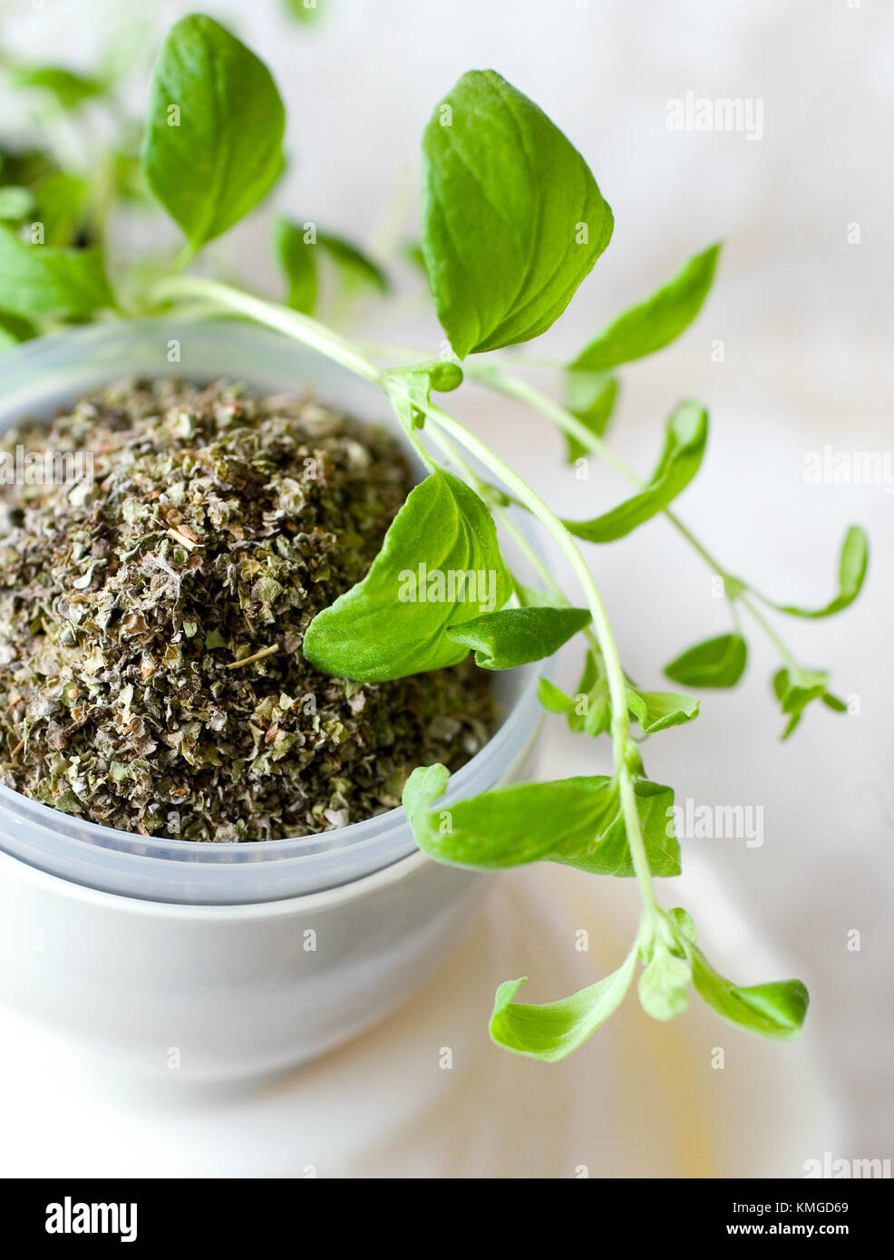 fresh and dried marjoram in a white cup on white background Stock Photo