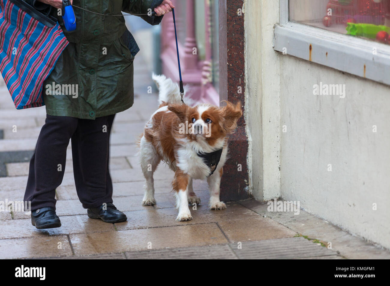 Hastings, East Sussex, UK. 7th December, 2017. Strong winds are causing problems for some people as this elderly woman struggles with the very windy weather and nearly gets knocked over. Photo Credit: Paul Lawrenson /Alamy Live News Stock Photo