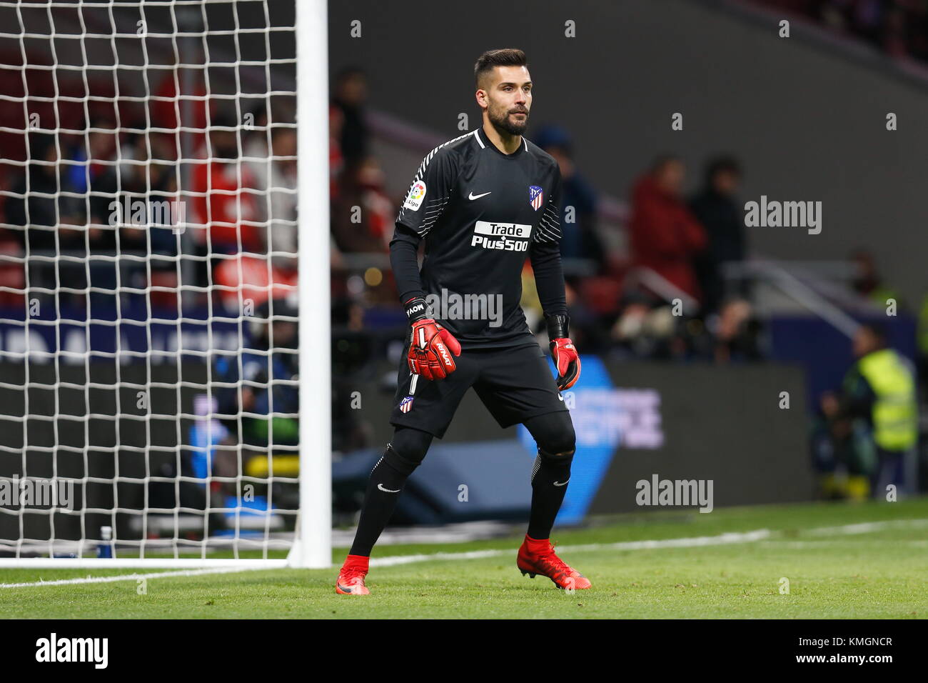 Copa del Rey: Atletico Madrid goalkeeper Miguel Angel Moya relishing Real  Madrid tie, Football News