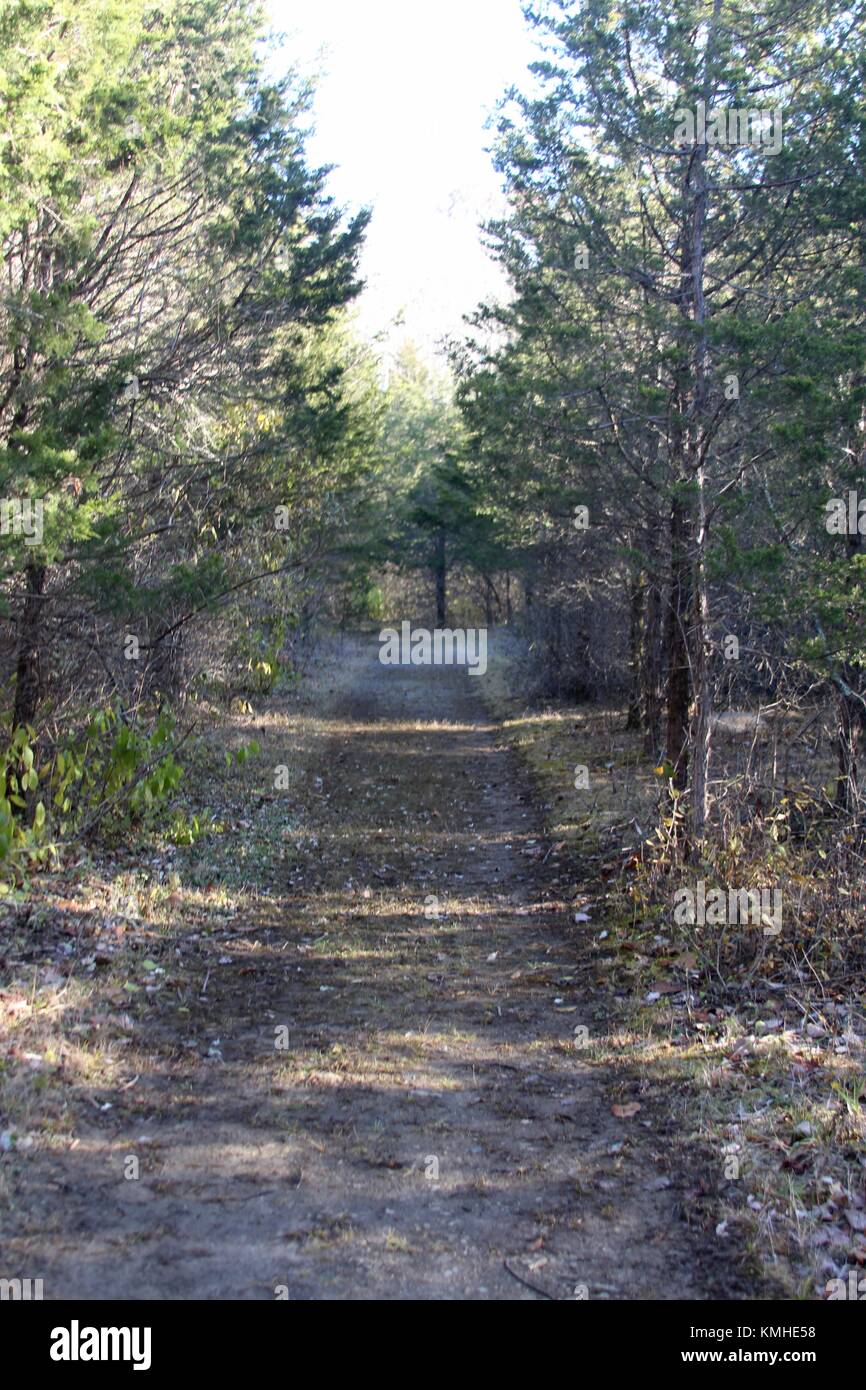 A day hiking in some of the forest trail in the autumn season Stock ...