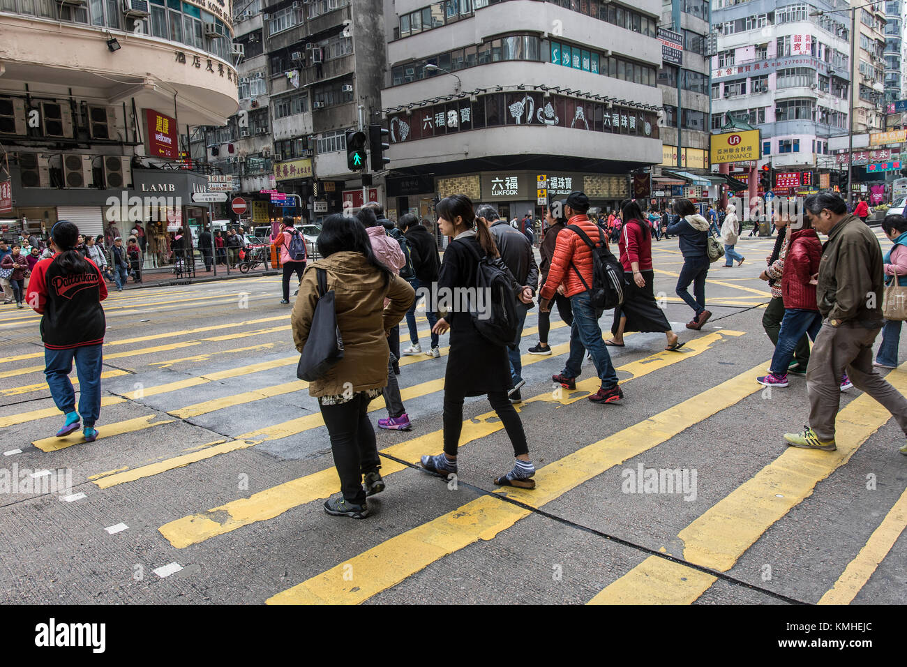 Pet shop in hong kong hi-res stock photography and images - Alamy