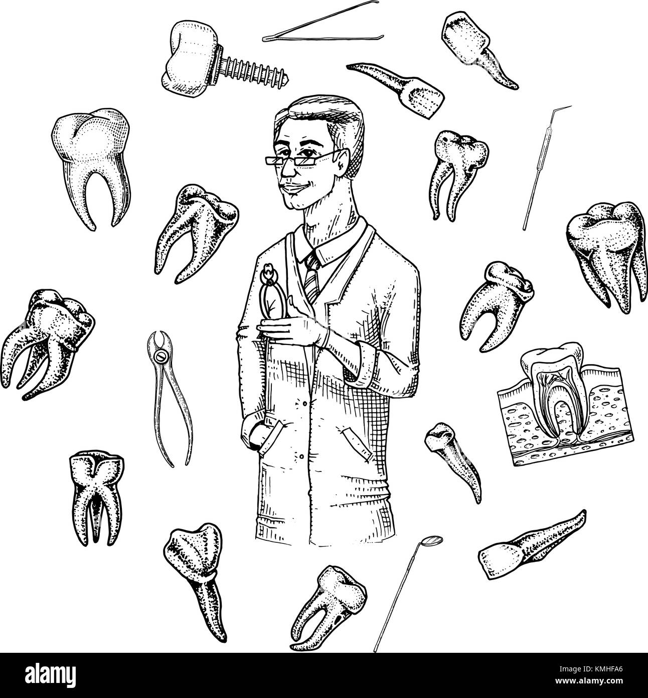 molar teeth enamel, dental set. instruments equipment of the dentist doctor. oral cavity clean or sick. health or caries human. engraved hand drawn in old or sketch. medicine, care for cavity, implant Stock Vector