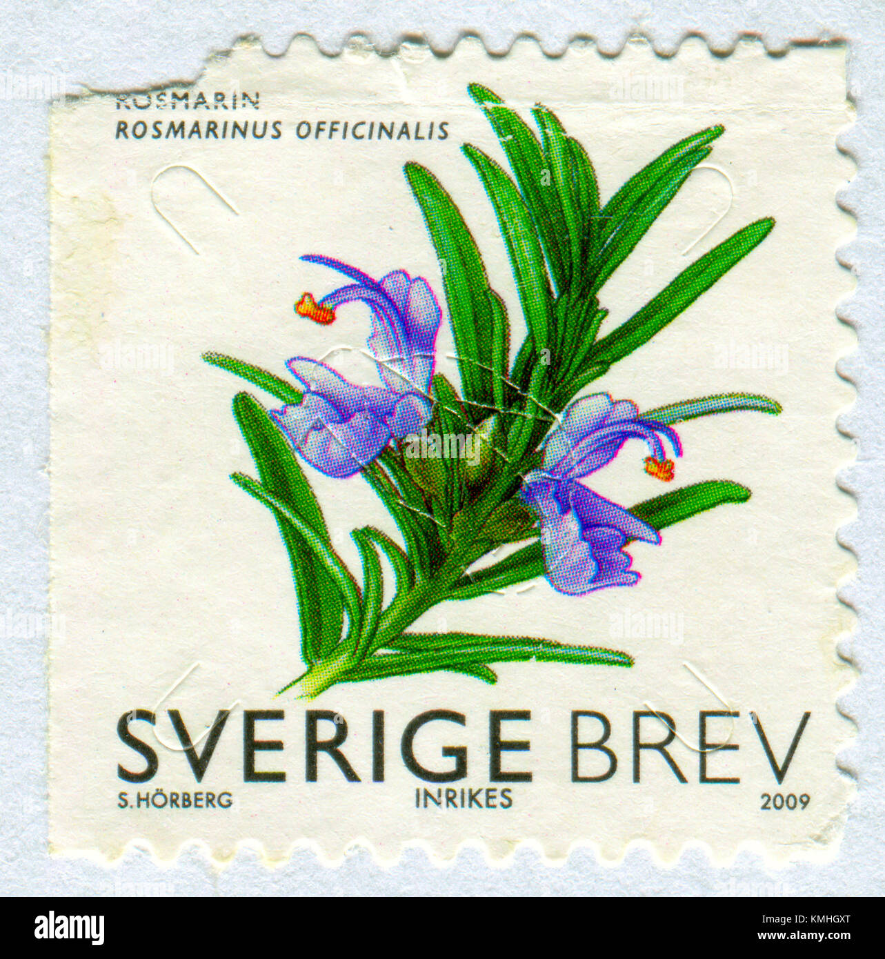 GOMEL, BELARUS, 6 DECEMBER 2017, Stamp printed in Sweden shows image of the Rosmarin, circa 2009. Stock Photo