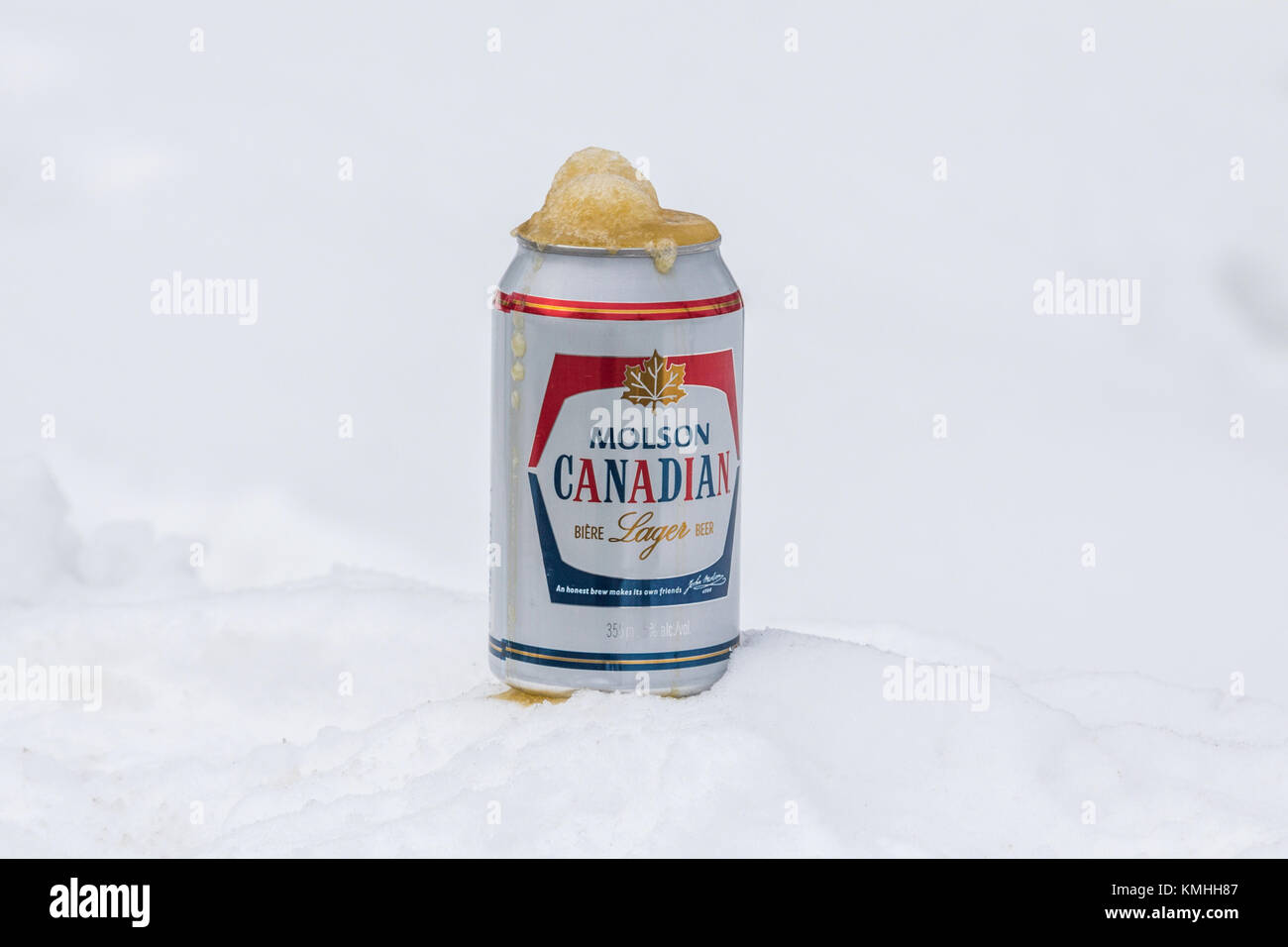 QUEBEC, CANADA - DECEMBER 26, 2016: Molson Canadian Lager beer can in the snow, with frozen beer spuring out of it, put on a snow ground. Molson Canad Stock Photo